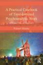 Practical Casebook Of Time-Limited Psychoanalytic Work - Preview