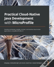 Capa do artigo Practical Cloud-Native Java Development With Microprofile