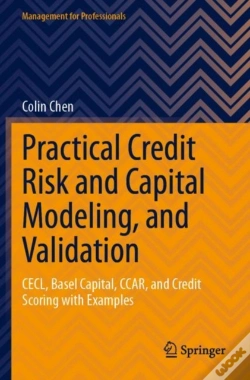 Capa do artigo Practical Credit Risk And Capital Modeling, And Validation