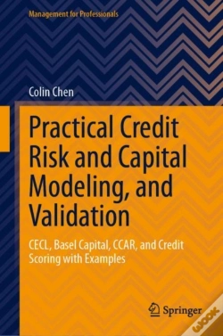 Capa do artigo Practical Credit Risk And Capital Modeling, And Validation