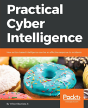 Practical Cyber Intelligence - Preview