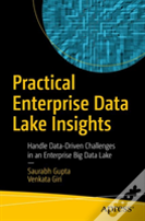 Practical Enterprise Data Lake Insights