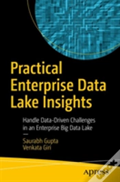 Capa do artigo Practical Enterprise Data Lake Insights