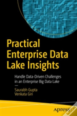 Capa do artigo Practical Enterprise Data Lake Insights