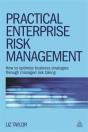 Practical Enterprise Risk Management - Preview