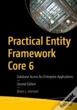 Practical Entity Framework Core 6