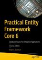 Practical Entity Framework Core 6 - Preview