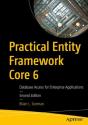 Practical Entity Framework Core 6 - Preview