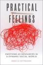 Practical Feelings - Preview
