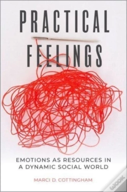 Capa do artigo Practical Feelings