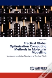 Capa do artigo Practical Global Optimization Computing Methods In Molecular Modelling