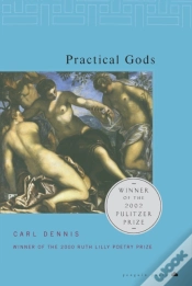 Capa do artigo Practical Gods