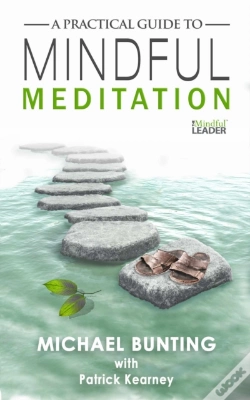 Capa do artigo Practical Guide To Mindful Meditation