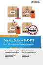 Practical Guide To Sap Gts Part 1 - Preview