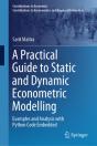 Practical Guide To Static And Dynamic Econometric Modelling - Preview