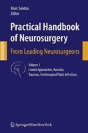 Practical Handbook Of Neurosurgery - Preview