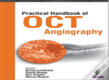 Practical Handbook Of Oct Angiography