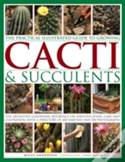 Capa do artigo Practical Illustrated Guide To Growing Cacti & Succulents