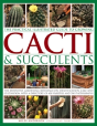 Practical Illustrated Guide To Growing Cacti & Succulents - Preview