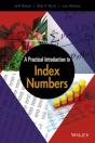 Practical Introduction To Index Numbers - Preview