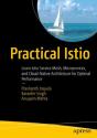 Practical Istio - Preview