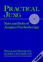 Capa do artigo Practical Jung