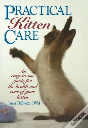 Capa do artigo Practical Kitten Care