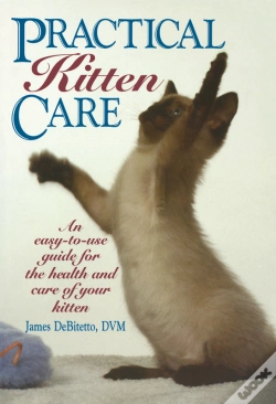 Capa do artigo Practical Kitten Care