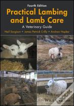 Practical Lambing And Lamb Care