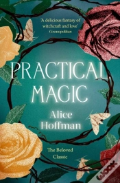 Capa do artigo Practical Magic