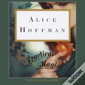 Capa do artigo Practical Magic
