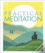 Capa do artigo Practical Meditation