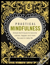 Capa do artigo Practical Mindfulness