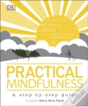 Capa do artigo Practical Mindfulness