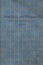 Practical Not Pragmatic - Preview