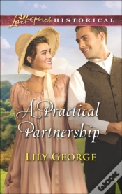 Capa do artigo Practical Partnership