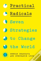Capa do artigo Practical Radicals