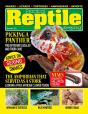 Practical Reptile Keeping - December 2021 - Preview