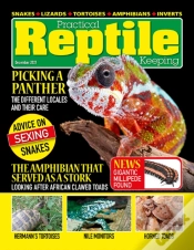 Capa do artigo Practical Reptile Keeping - December 2021