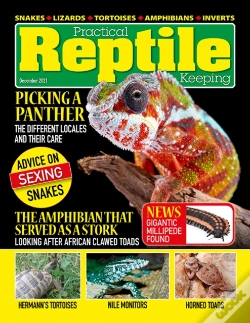 Capa do artigo Practical Reptile Keeping - December 2021