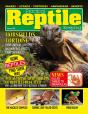 Practical Reptile Keeping - January 2022 - Preview