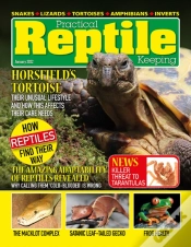 Capa do artigo Practical Reptile Keeping - January 2022