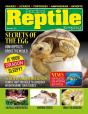 Practical Reptile Keeping - November 2021 - Preview