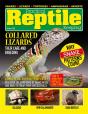 Practical Reptile Keeping - October 2021 - Preview