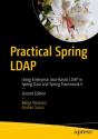 Practical Spring Ldap - Preview