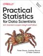 Practical Statistics For Data Scientists - Preview
