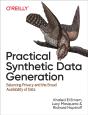 Practical Synthetic Data Generation - Preview