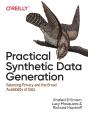 Practical Synthetic Data Generation - Preview