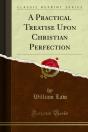 Practical Treatise Upon Christian Perfection - Preview