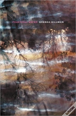 Capa do artigo Practical Water